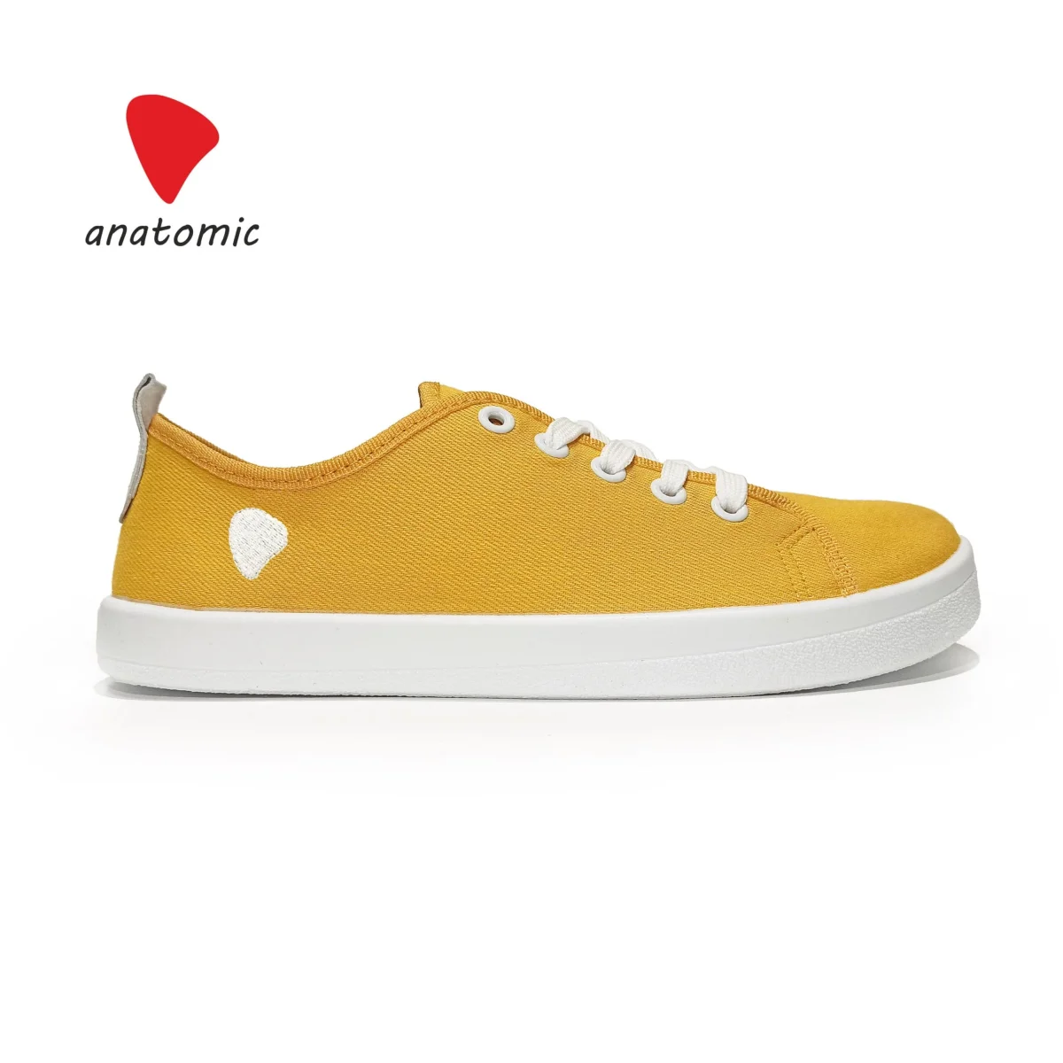 Anatomic Starter Canvas - Image 3